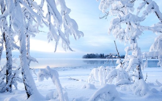 1436747 (a): :2560x1600